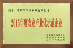 2015年度农业产业化示范美女搞鸡网站